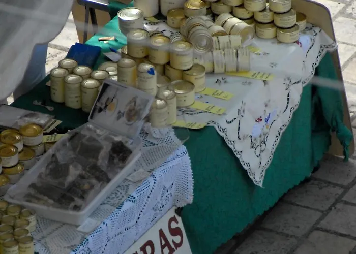 Couette-café D'hôtes Couleurs Du Temps Périgueux