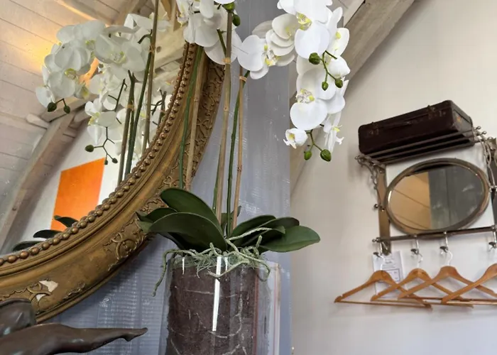 D'hôtes Couleurs Du Temps 3* Périgueux