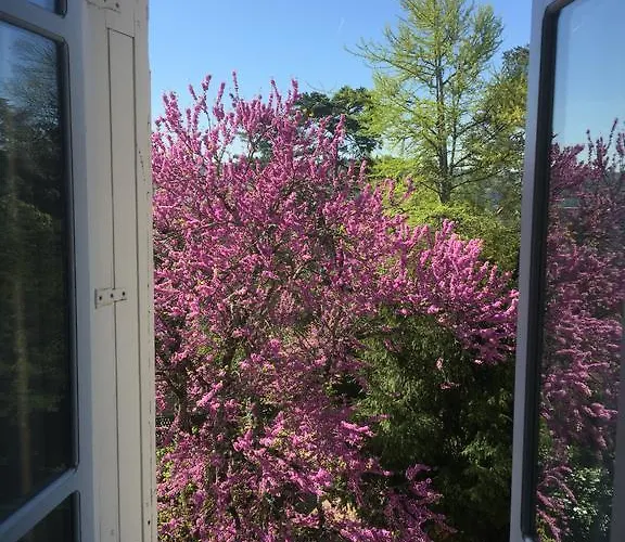 Couette-café D'hôtes Couleurs Du Temps 3*